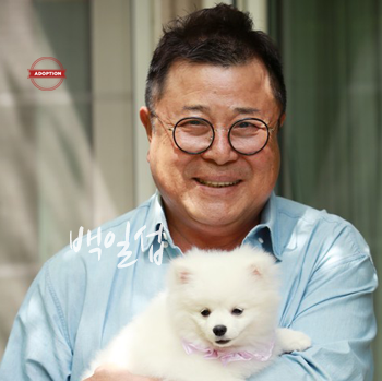 방문 스타 22